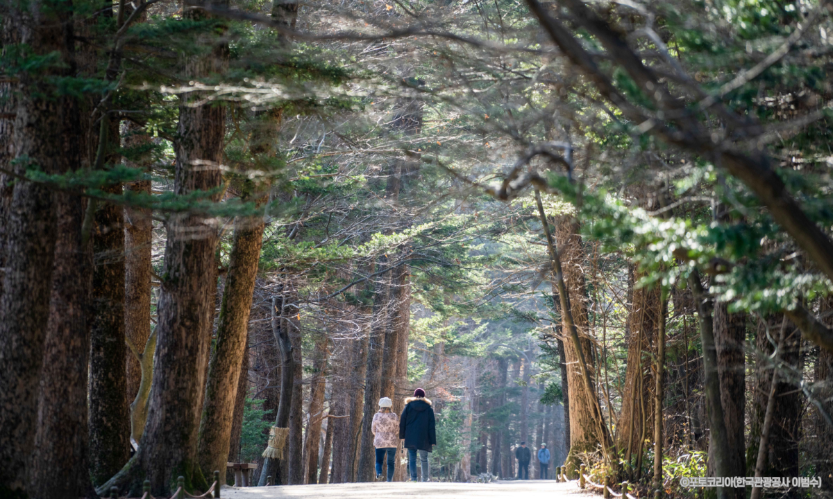 [전주출발]김제&부안☆아리랑의 노래를 따라, 천년의 쉼을 만나다 (당일)