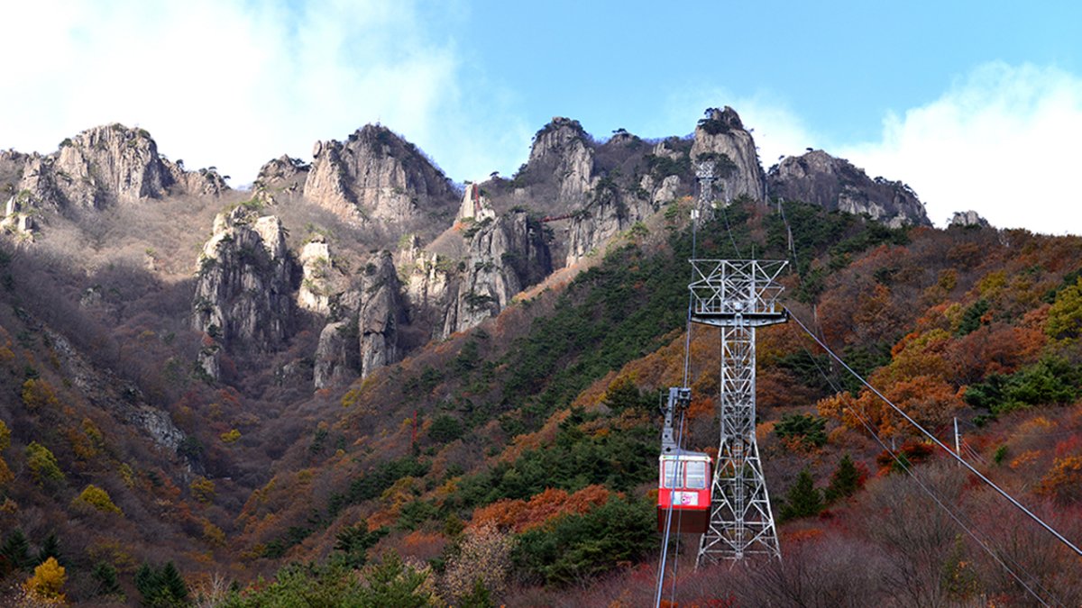 [부산출발/1박2일] 전북관광투어버스 (#가을군산)