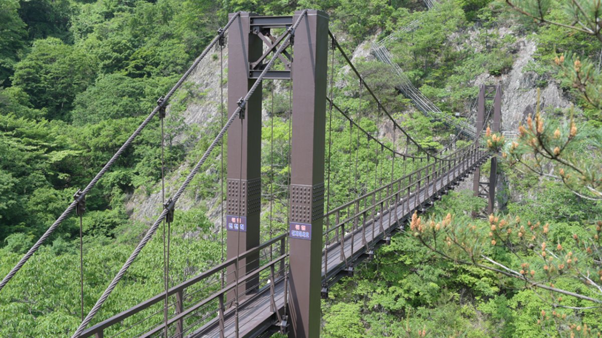 [부산출발/1박2일] 고창모양성제와 함께 둘러보는 전북투어버스