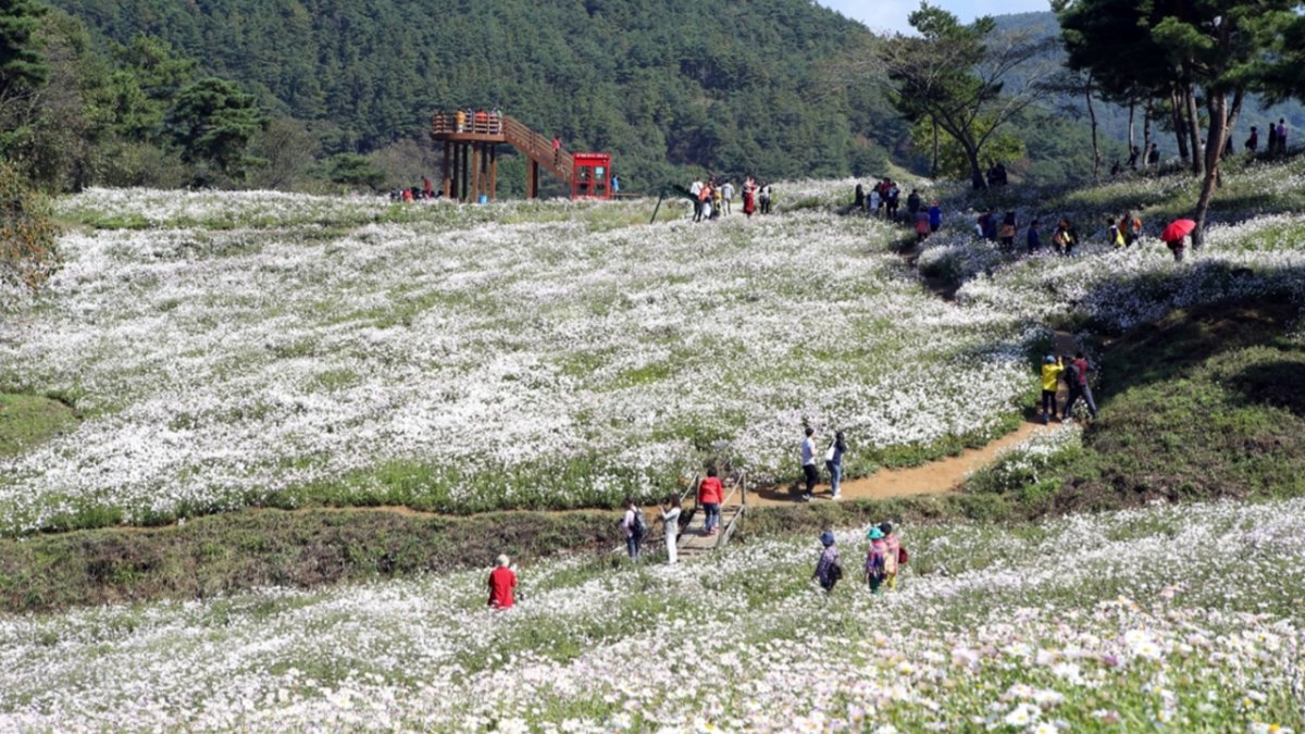 [부산출발/1박2일] 고창모양성제와 함께 둘러보는 전북투어버스