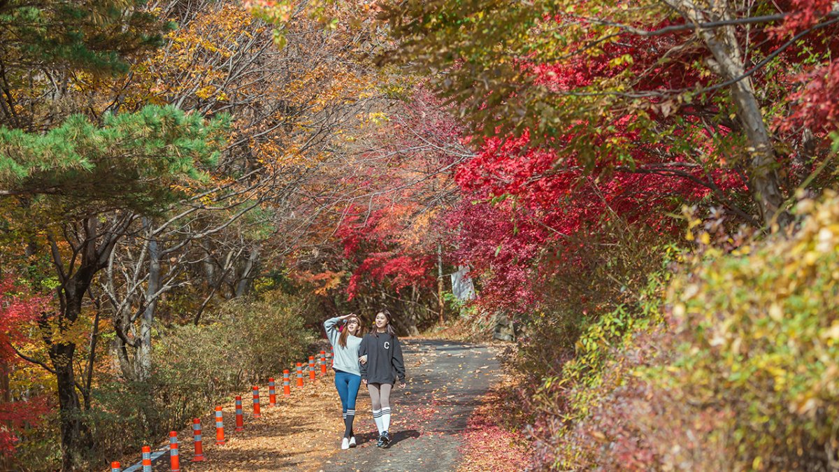 [KTX] 완주 대둔산 & 익산 미륵사지 기차여행 (당일)