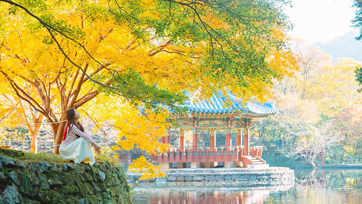 [KTX] 정읍 내장산 & 전주 한옥마을 기차여행 (당일)