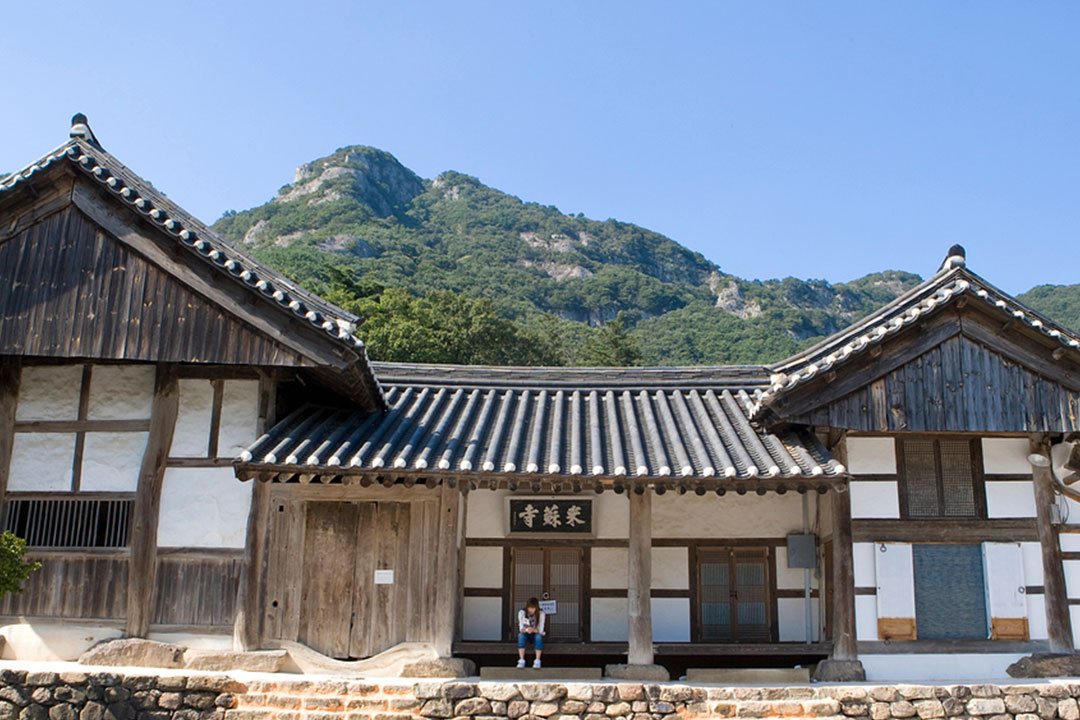 [서울/경기출발] 붉게 물든 내장산과 고즈넉한 가을 단풍 내소사_정읍+부안 당일(리무진)