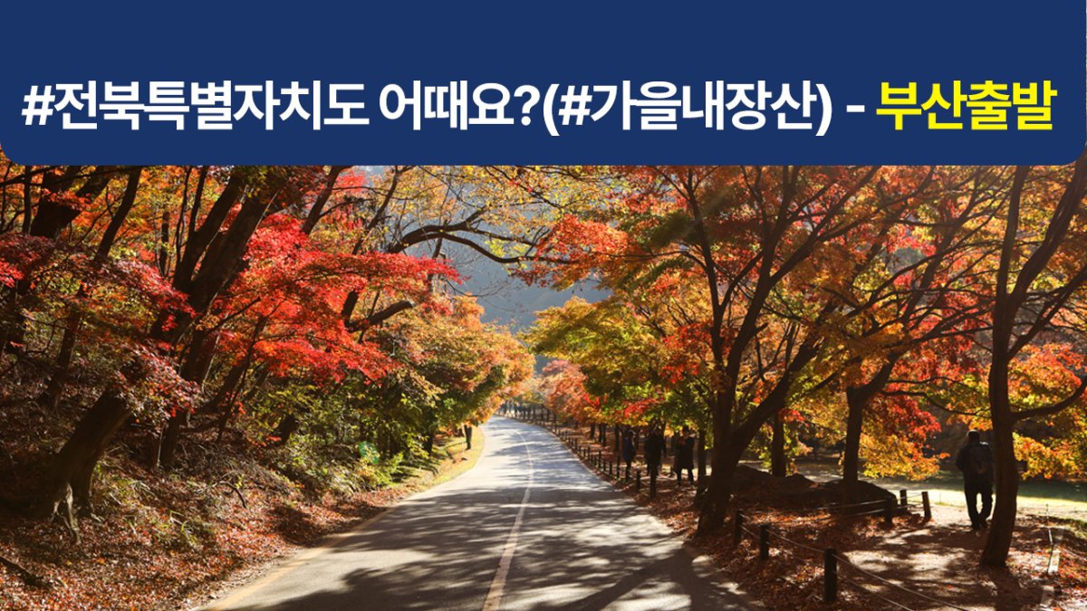 [부산출발/1박2일] 전북관광투어버스 (#가을내장산)