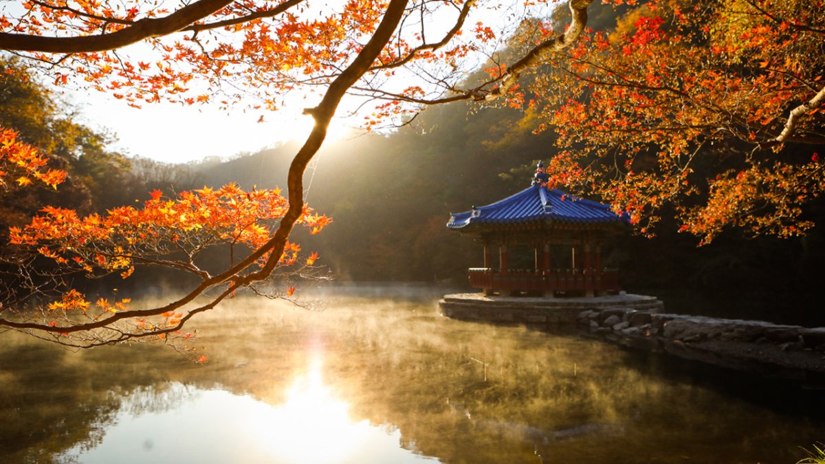 [부산출발/1박2일] 전북관광투어버스 (#가을내장산)